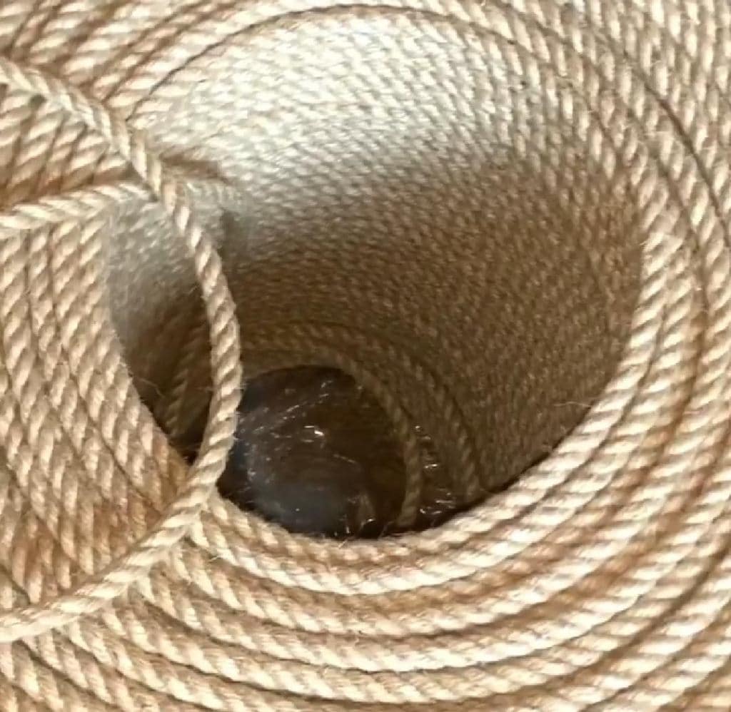 Catalogue Durga Prasad Lahori Mal Jain in Sadar Bazar , Delhi Justdial