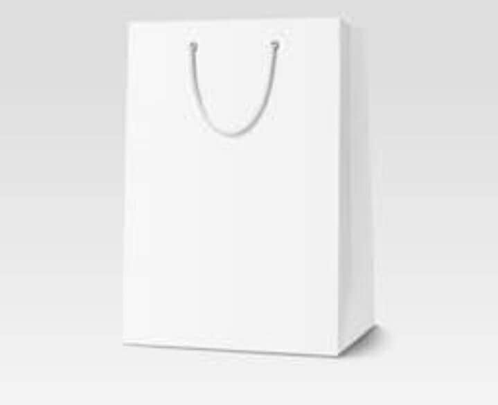 White Paper Bag in Lucknow at ₹ Pc by Gargi Paperkraft Justdial