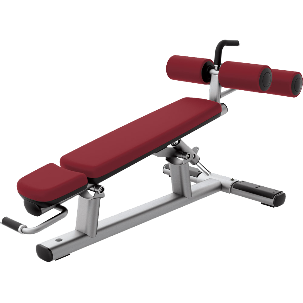 Adjustable Decline WeightBench in Anuppur at ₹ 21,000 Pc by