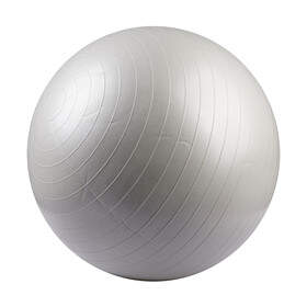 gym ball reebok price