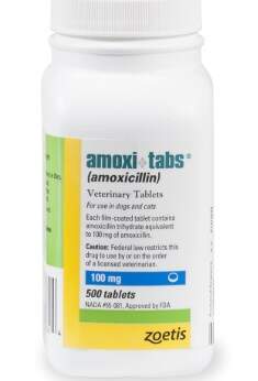 Average Price For Amoxicillin