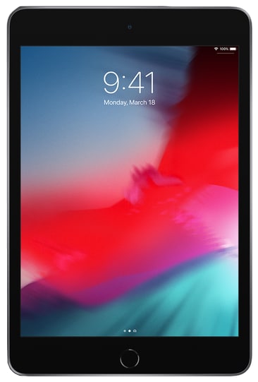 Buy Apple iPad Mini 4 (64GB, 20 cm (7.9), Wi-Fi, Space Grey