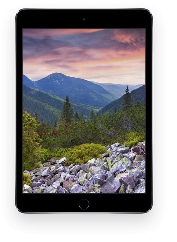 Buy Apple iPad Mini 4 (16GB, 20 cm (7.9), Wi-Fi + Cellular