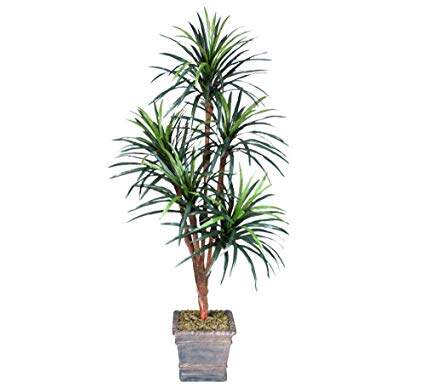 Artificial 8 Feet Tall Coconut Tree With Fruit At Best Price Artificial 8 Feet Tall Coconut Tree With Fruit By Fourwalls In Lucknow Justdial