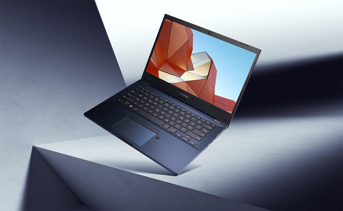ASUS ExpertBook P2 Laptop (Windows 10 Pro, Ram GB, 512 GB, Intel