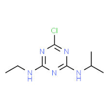 Atrazine 50% WP Attract Uttam Kharpatvarnashak (Herbicides) in