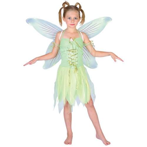 fairy fancy dress child