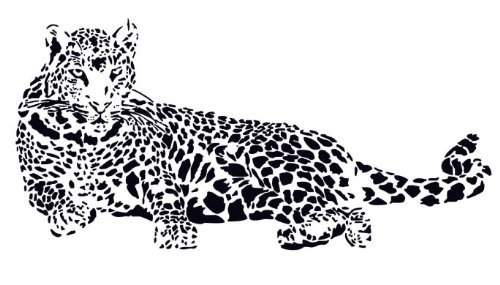 Buy Huge Cheetah Leopard Jaguar Cat Wall Mural Vinyl Decal Features Price Reviews Online In India Justdial