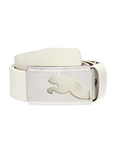 puma belt price