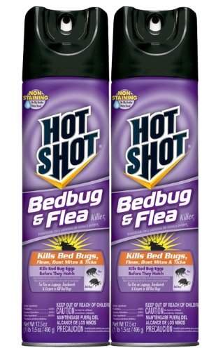Buy Hot Shot Bedbug And Flea Killer Pack Of 2 Features Price Reviews Online In India Justdial