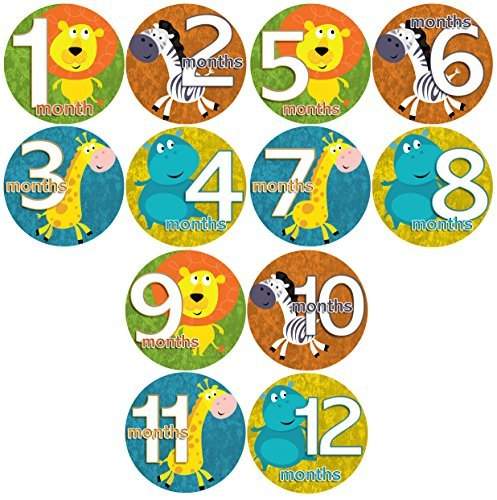 Buy Baby Month Onesie Zoo Buddies Safari Animals Stickers Baby Shower Gift Photo Shower Stickers Baby Photo Onesie Milestone Stickers Features Price Reviews Online In India Justdial