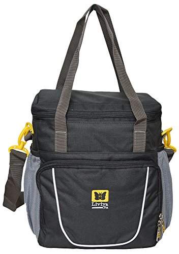 liviya bags online