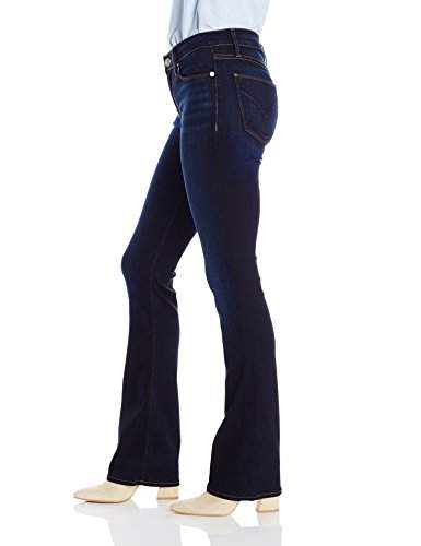 hudson jeans petite