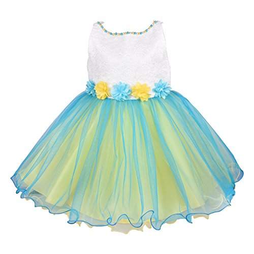 baby girl net dresses
