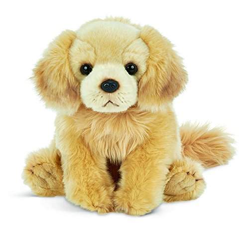 toy dog online