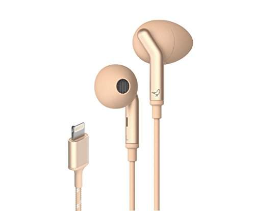 noise cancelling devices