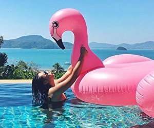 jumbo inflatable pink flamingo
