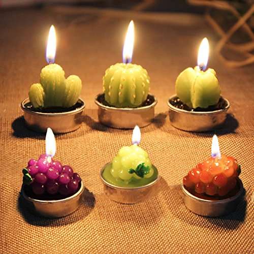 Buy Sellify 5 Mini Cactus Candles For Birthday Wedding Decoration Home Decoration Artificial Green Plants Candle Decoration Scented Candles Features Price Reviews Online In India Justdial