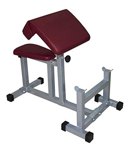 Buy Lifeline Preacher Curl Bench For Bicep Exercise Red Silver Features Price Reviews Online In India Justdial