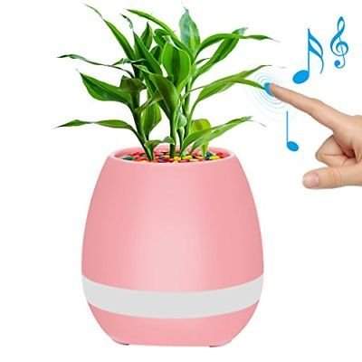 musical plant pot