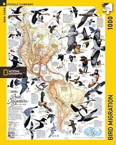 Buy New York Puzzle Company National Geographic Bird Migration 1000 Piece Jigsaw Puzzle Features Price Reviews Online In India Justdial