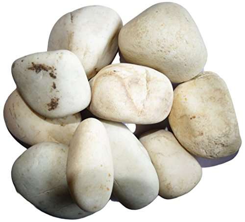 Buy Maalavya 10kg White River Stone Garden Home Decor Marble Pebble Wooden Table Features Price Reviews Online In India Justdial