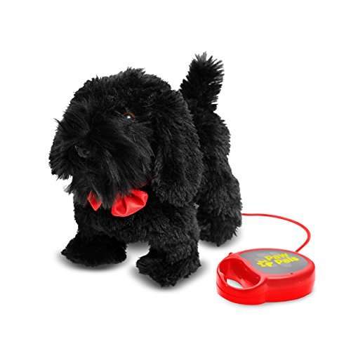 dog on a leash toy
