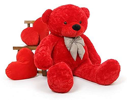 teddy bear in red colour