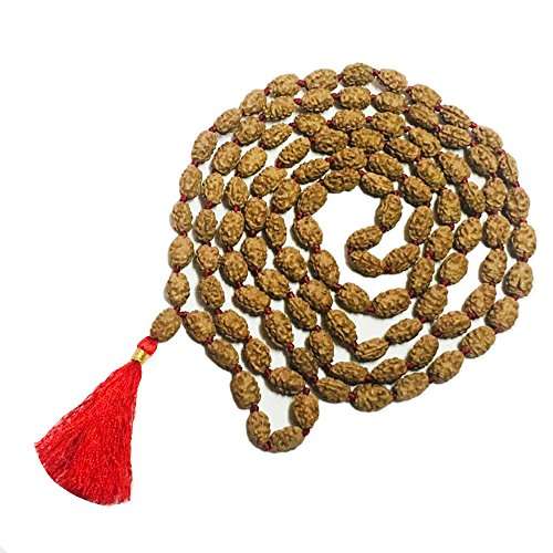 Buy 2 Mukhi Rudraksha Mala 100 Original 108 Beads Two Faced Moon Rudraksha Mala 7mm 9mm Features Price Reviews Online In India Justdial After wearing, i can feel. justdial