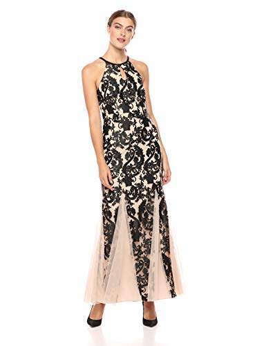 alex evenings women's embroidered dress with illusion neckline