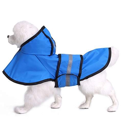 poodle raincoat