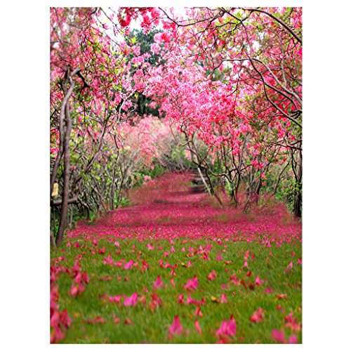 pics Photo Shoot Baby Studio Background High Resolution buy nf amp e 3x5ft party wedding