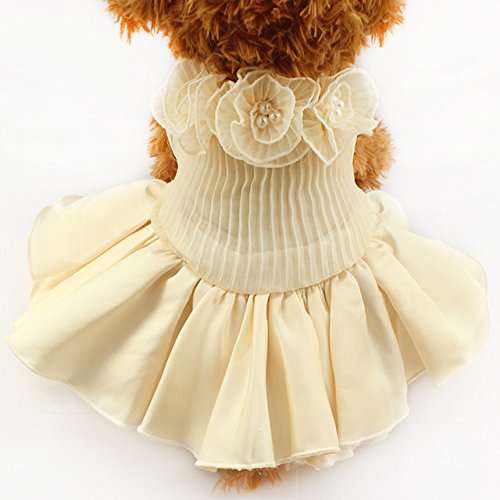 Buy Pinkdosea Beige Xs Armi Store Pearl Flower Adornment Dog Wedding Dress Dogs Dresses 6073011 Pet Skirt Supplies Wholesale Xs S M L Features Price Reviews Online In India Justdial