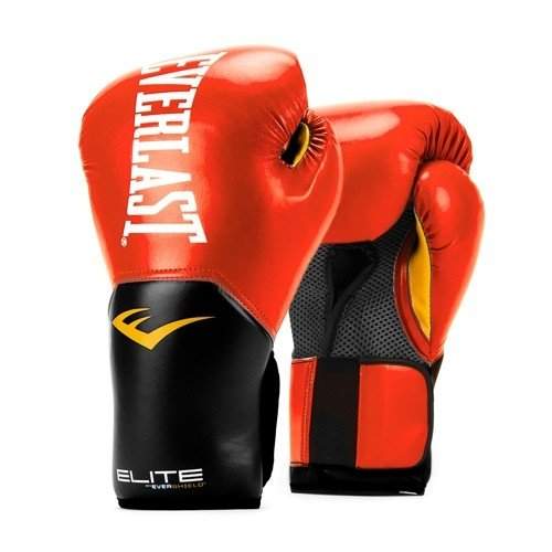 everlast boxing gloves price