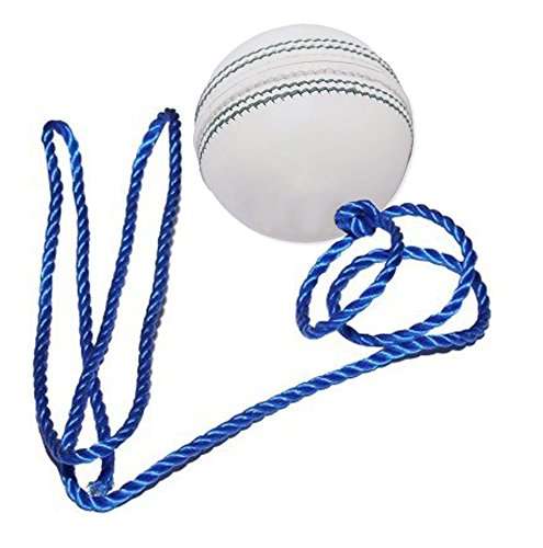 Hanging tennis ball for cricket practice Clearance