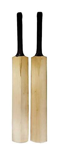 cricket bat 10 year old