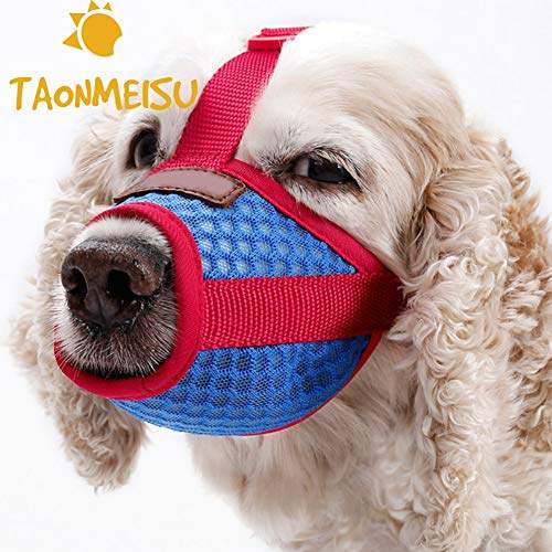 dog mouth cover price