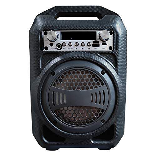 big loudspeaker price