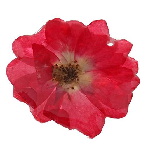 Homyl Resin Dried Flower Real Pendant With Hole Delphinium Purple Red As Described Features Reviews In India Justdial - Real Flower Pendant India
