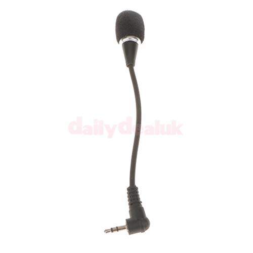 mic with speaker online