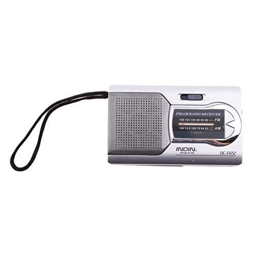 fm radio speaker online
