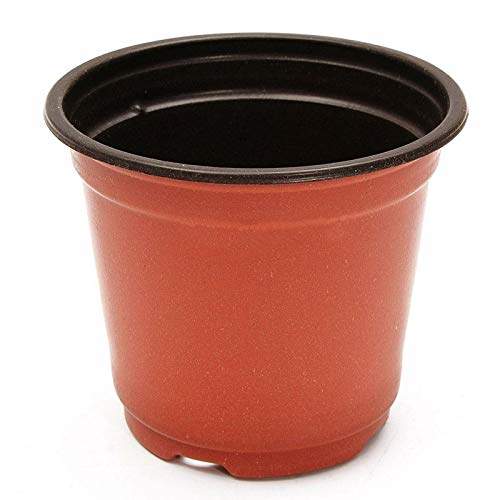 Buy Electroprime 5x 50pcs Plastic Plant Pots Home Garden Nursery Flowerpots O7u7 Features Price Reviews Online In India Justdial