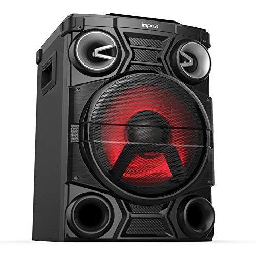 music system with mic