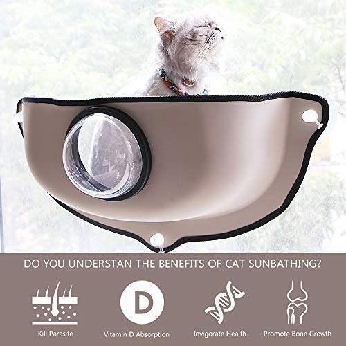 suction cup cat shelf