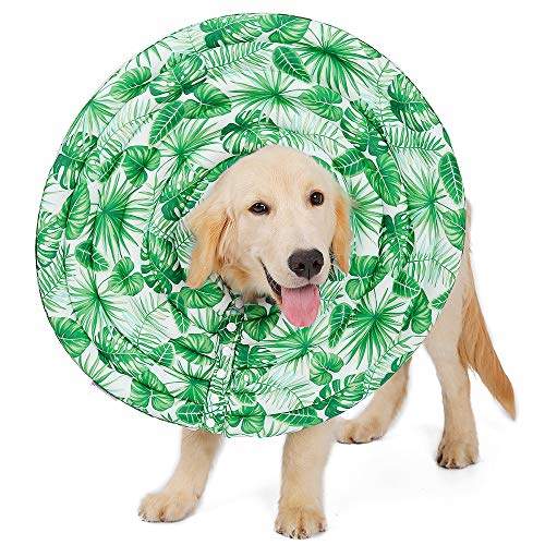 buy elizabethan collar