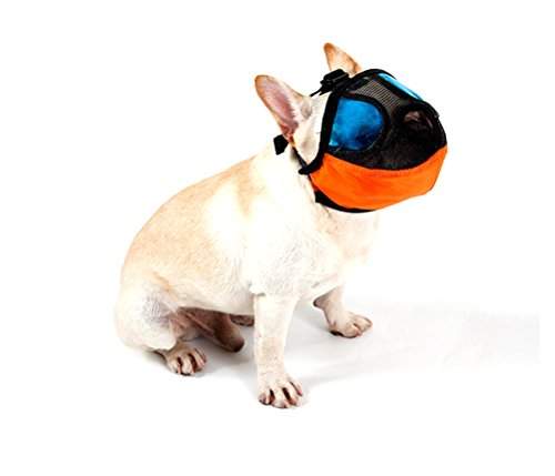 dog mouth cover price