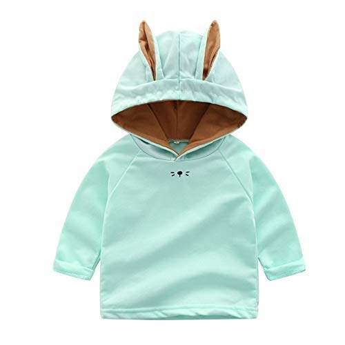 toddler sweatshirts girl