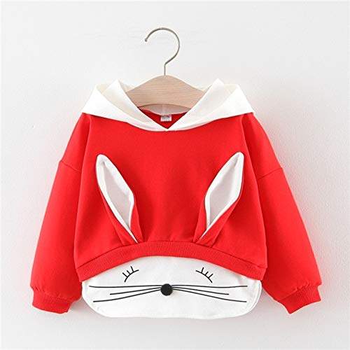baby boy hooded sweatshirt