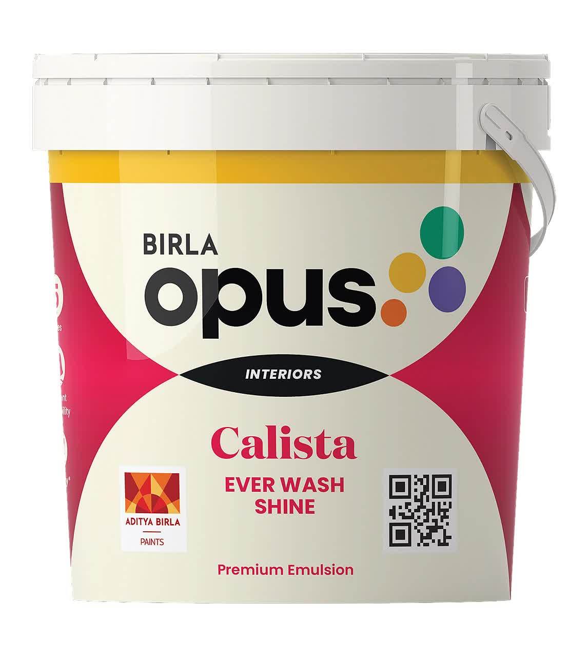 Birla Opus Calista Ever Wash Shine Paint 20 Litre in Chhindwara at