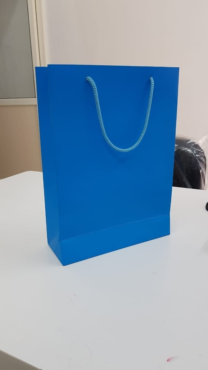 Blue Paper Bag Size x 16 Inch in Delhi at ₹ 10 ₹ 20 Pc
